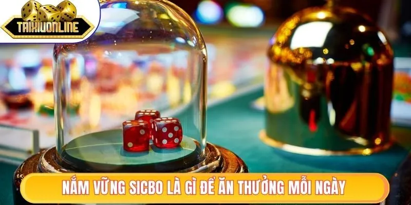 Sicbo Là Gì - Khám Phá Tuyệt Chiêu Thắng Cược Cực Dễ 1 Nắm vững Sicbo là gì để ăn thưởng mỗi ngày